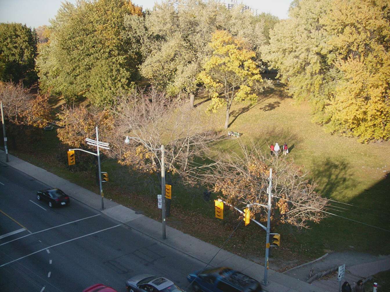 Dufferin Grove Community Project: a Park Within a Park
